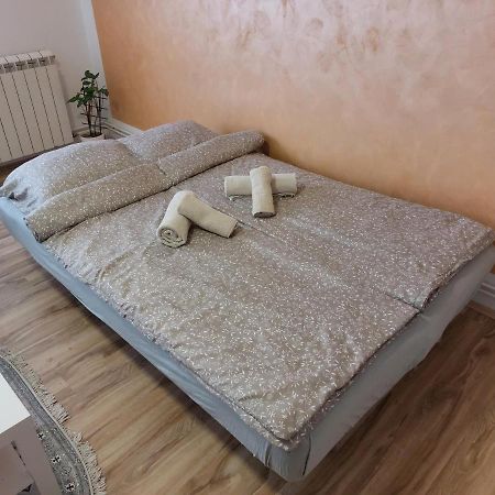Apartman Centar スレムスカ・ミトロヴィツァ エクステリア 写真