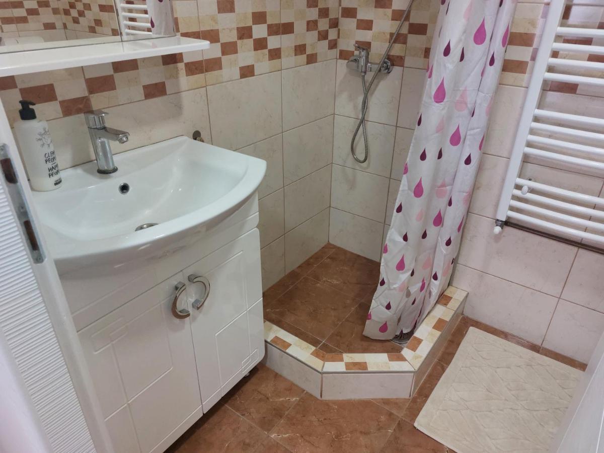Apartman Centar スレムスカ・ミトロヴィツァ エクステリア 写真