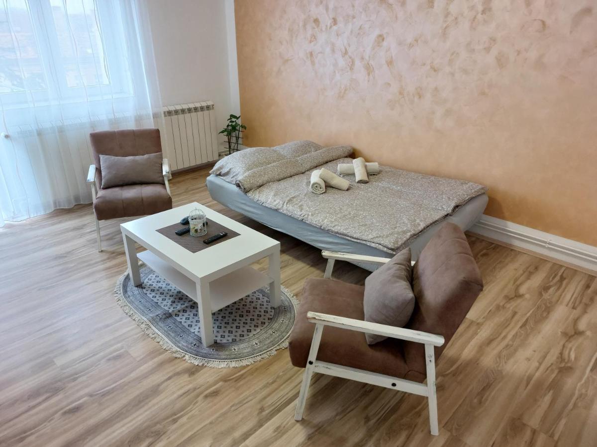 Apartman Centar スレムスカ・ミトロヴィツァ エクステリア 写真